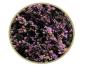 Preview: Limonium sinense Blush Diamond, Statice - 5 Stiele